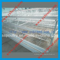 Bird Cage for Hot Sale to Algeria and Africa